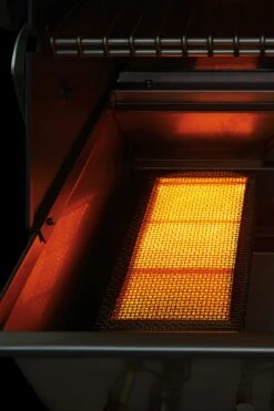 Webei Grill Shop -Webei Grill Shop napo n370 0775 in use